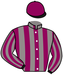 Casaque du n°2