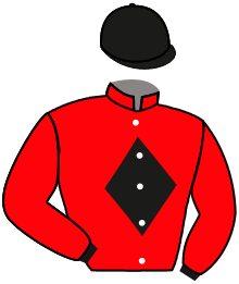 Casaque du n°3