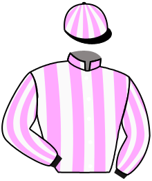 Casaque du n°2