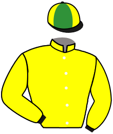 Casaque du n°6