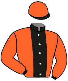 Casaque du n°8