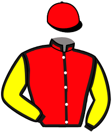 Casaque du n°4