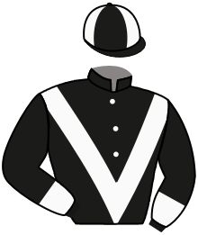 Casaque du n°3