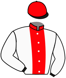 Casaque du n°6