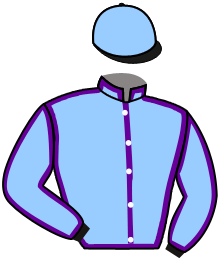 Casaque du n°3