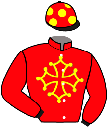 Casaque du n°6