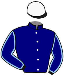Casaque du n°13