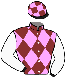 Casaque du n°2