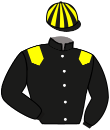 Casaque du n°10