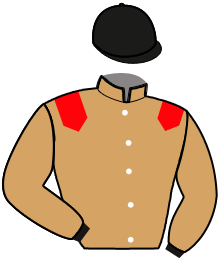 Casaque du n°6