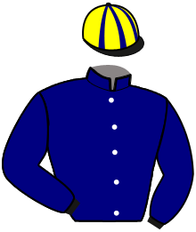Casaque du n°4