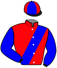Casaque du n°10