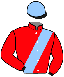 Casaque du n°11