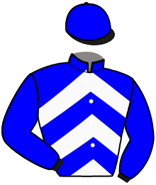 Casaque du n°6