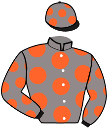 Casaque du n°1