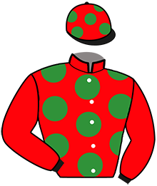 Casaque du n°4