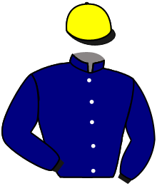 Casaque du n°3