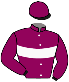 Casaque du n°10