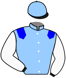 Casaque du n°11