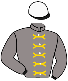 Casaque du n°2