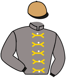 Casaque du n°4