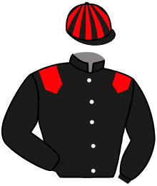 Casaque du n°8
