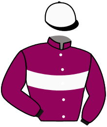 Casaque du n°9