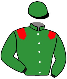 Casaque du n°1