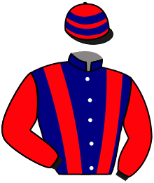 Casaque du n°2