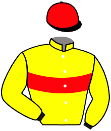 Casaque du n°3