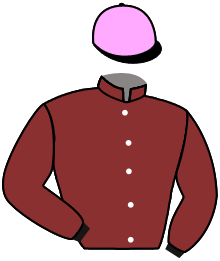 Casaque du n°6
