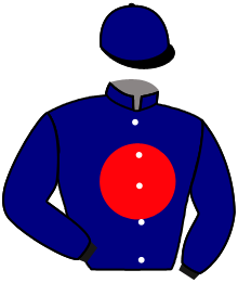Casaque du n°6