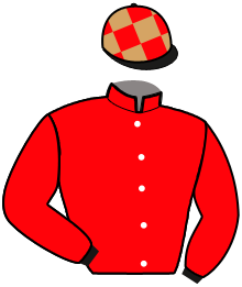 Casaque du n°10