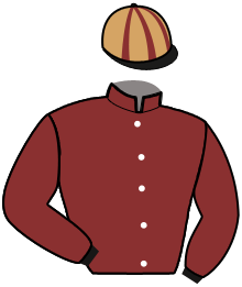 Casaque du n°15