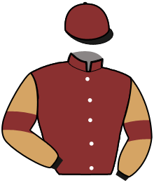Casaque du n°3