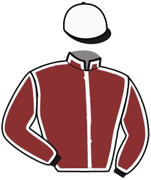 Casaque du n°2
