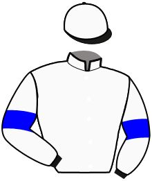 Casaque du n°3