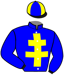 Casaque du n°6