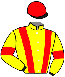 Casaque du n°11