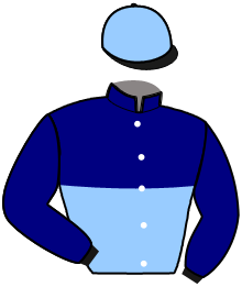 Casaque du n°2