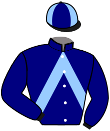 Casaque du n°5