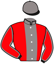 Casaque du n°11