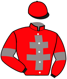 Casaque du n°13