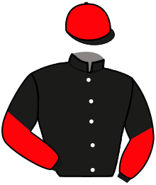 Casaque du n°11