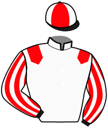 Casaque du n°3