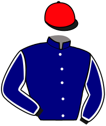 Casaque du n°15