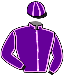Casaque du n°3