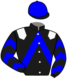 Casaque du n°1