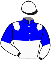 Casaque du n°2