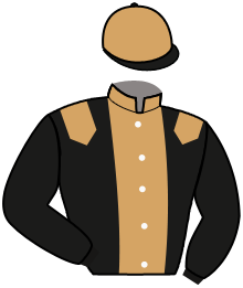 Casaque du n°3